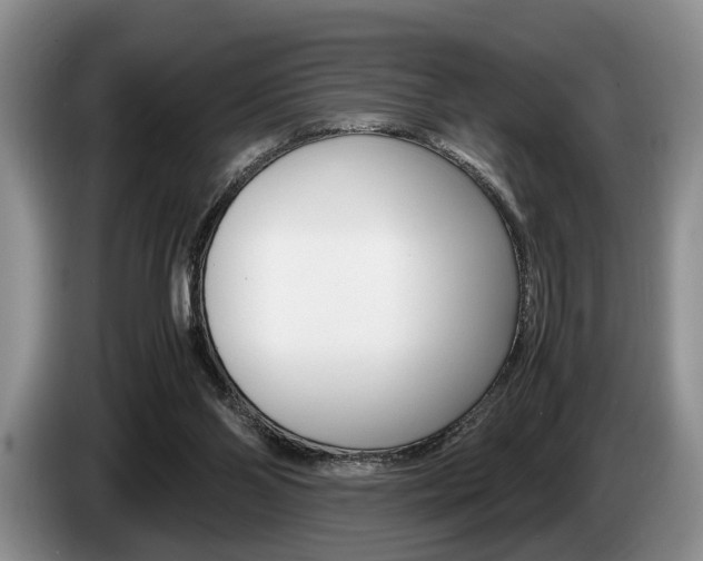 X0000087560110200704270933