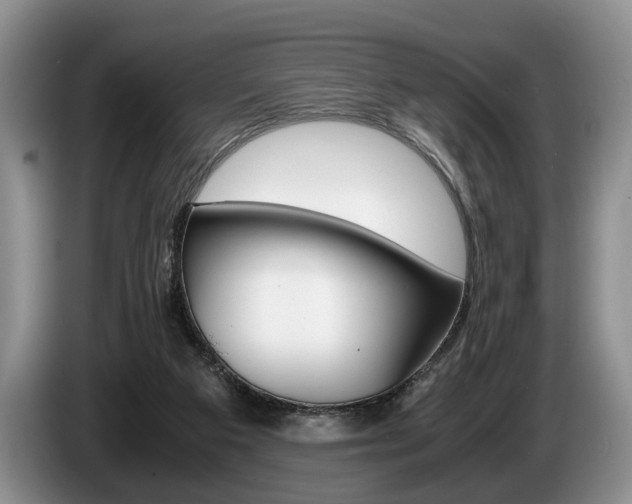 X0000087560113200704270933