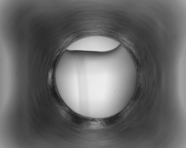 X0000087560118200704270933