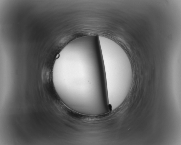 X0000087560123200704270933