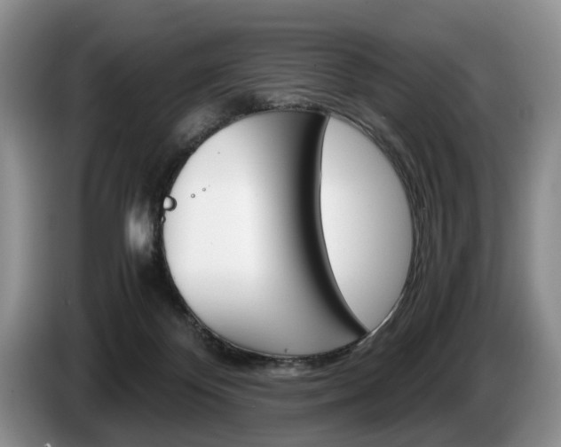 X0000087560124200704270933
