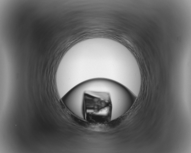 X0000087560125200704270933