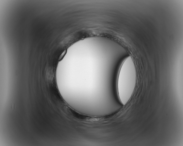 X0000087560129200704270932