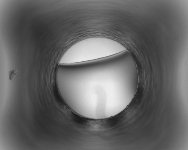 X0000087560131200704270932