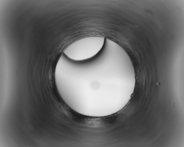 X0000087560132200704270932
