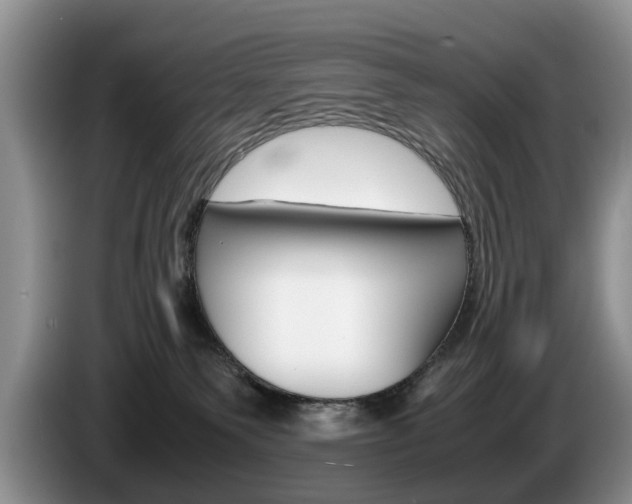 X0000087560135200704270932