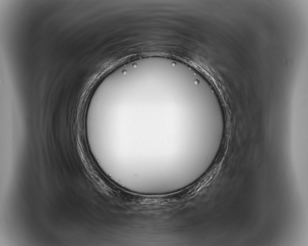 X0000087560145200704270932