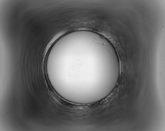 X0000087560147200704270932