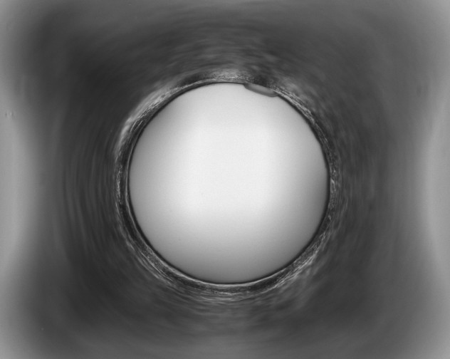 X0000087560149200704270932