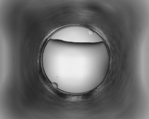 X0000087560155200704270932