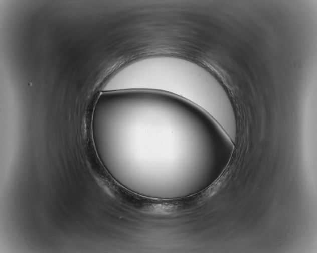 X0000087560158200704270932