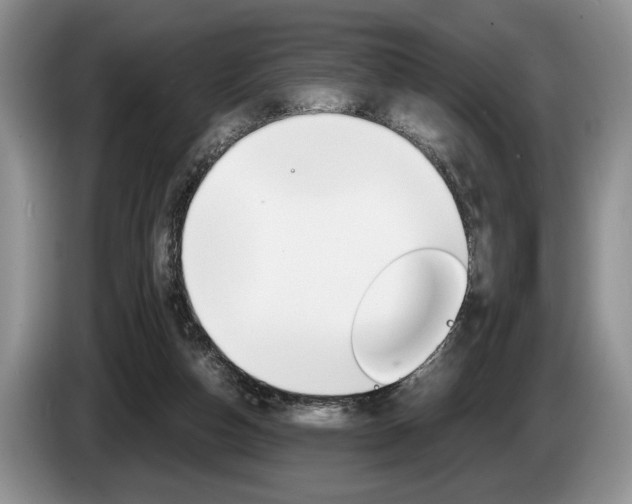 X0000087560162200704270932