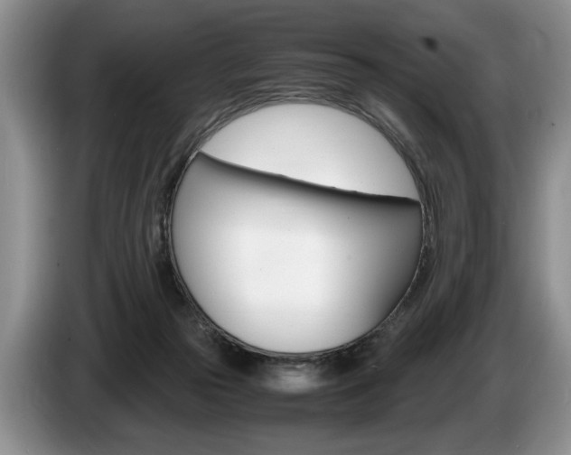 X0000087560169200704270932