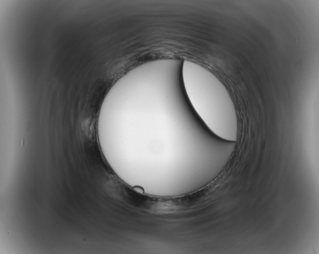 X0000087560177200704270932