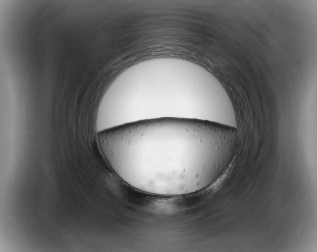 X0000087560178200704270932