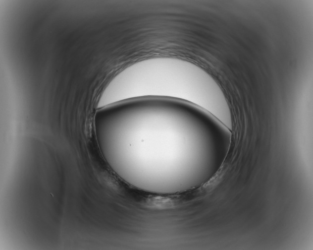 X0000087560180200704270932