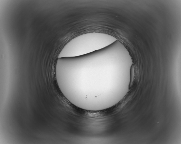 X0000087560189200704270932