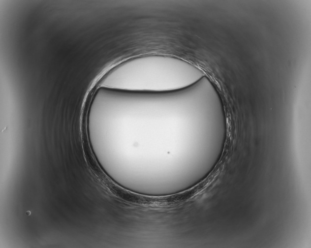 X0000087560196200704270932