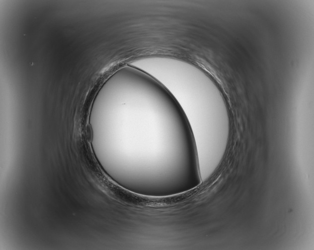X0000087560203200704270932