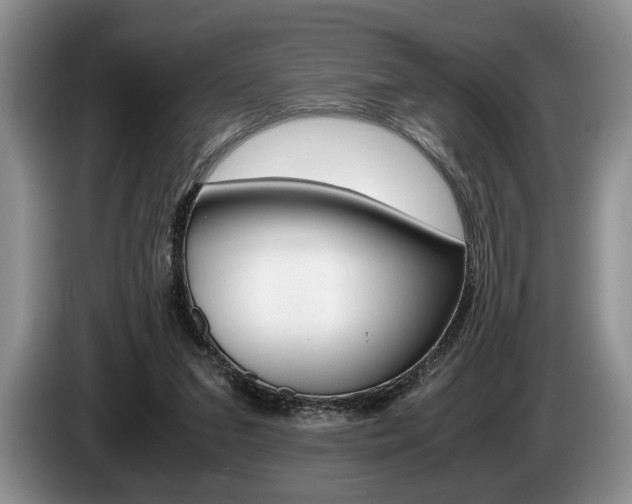 X0000087560207200704270932