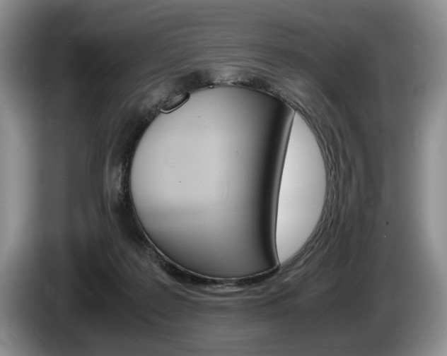 X0000087560219200704270931