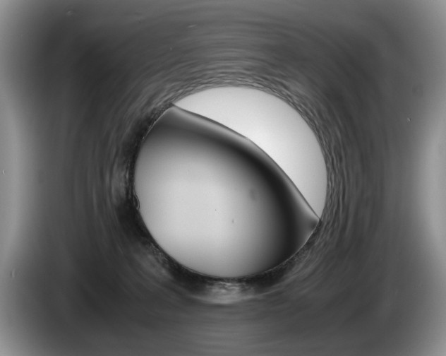 X0000087560227200704270931