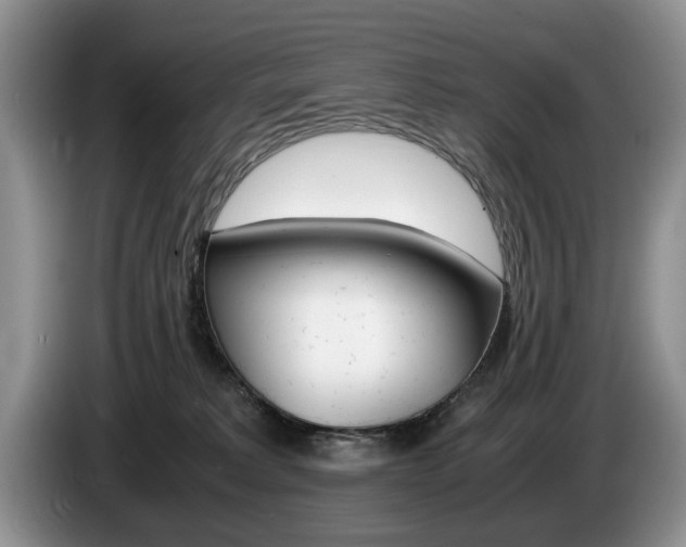 X0000087560229200704270931