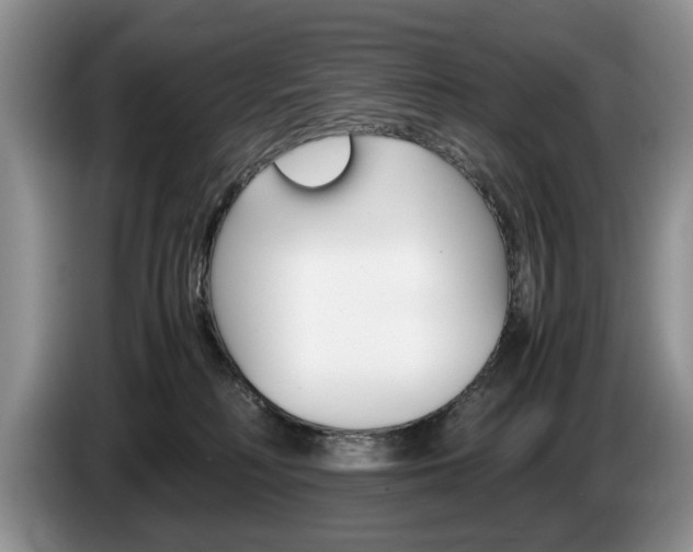 X0000087560230200704270931