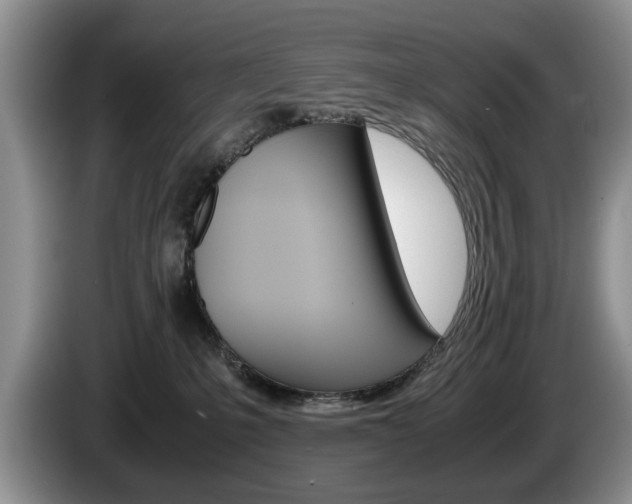 X0000087560231200704270931