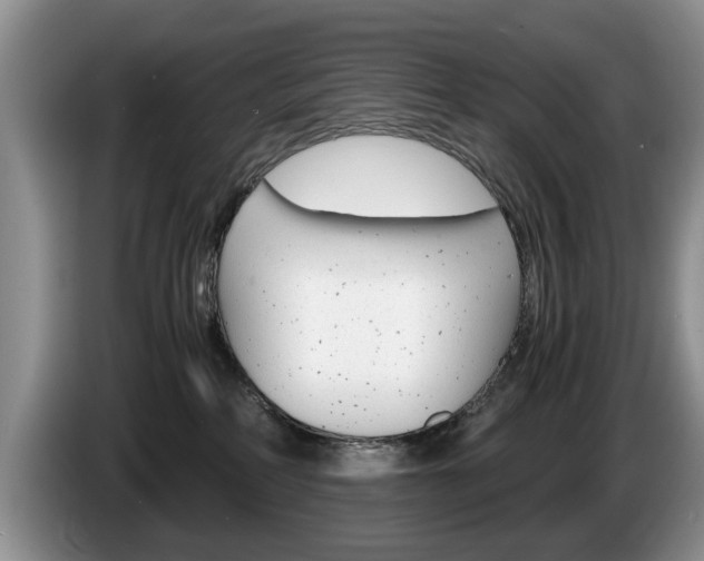 X0000087560234200704270931