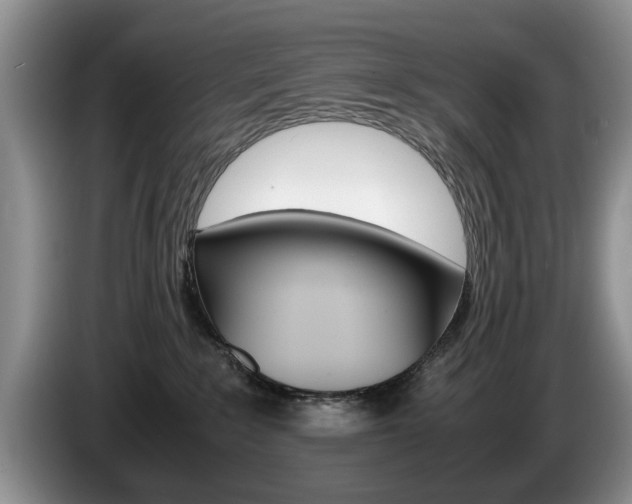 X0000087560235200704270931