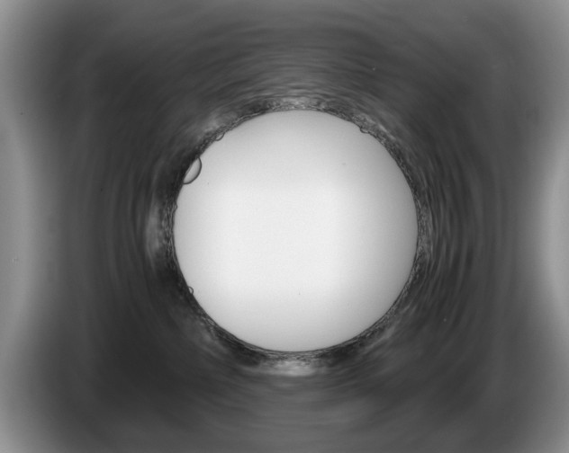 X0000087560236200704270931