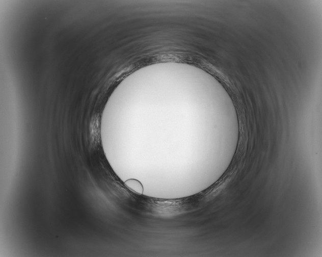 X0000087560240200704270931