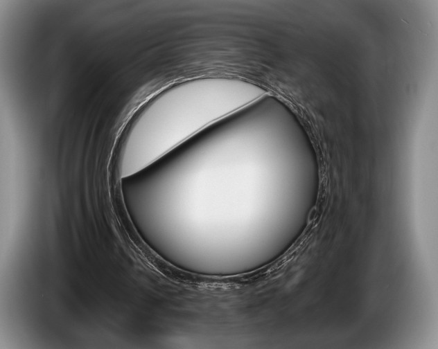 X0000087560242200704270931