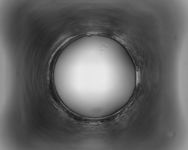 X0000087560243200704270931