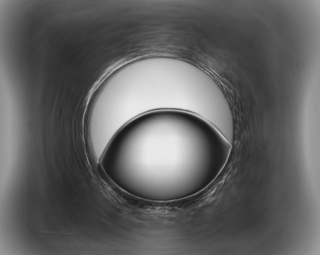 X0000087560244200704270931