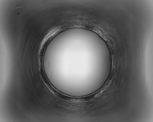 X0000087560245200704270931