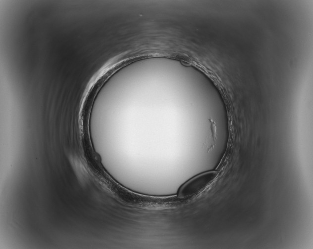 X0000087560246200704270931