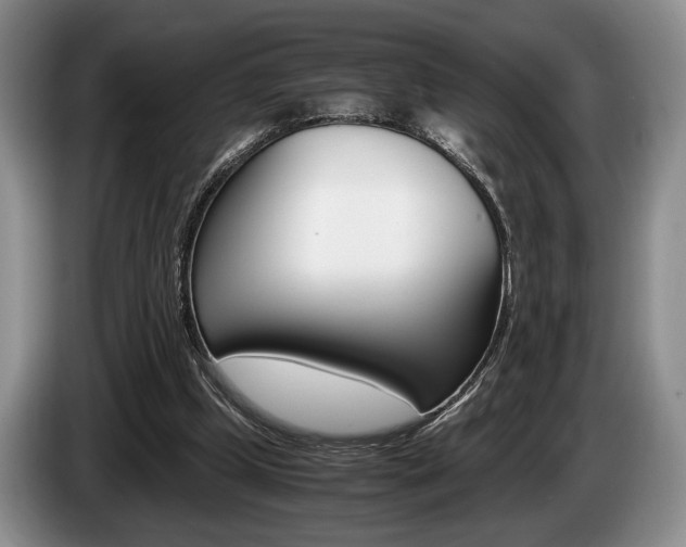 X0000087560249200704270931