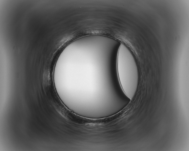 X0000087560251200704270931