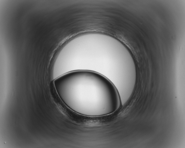 X0000087560252200704270931