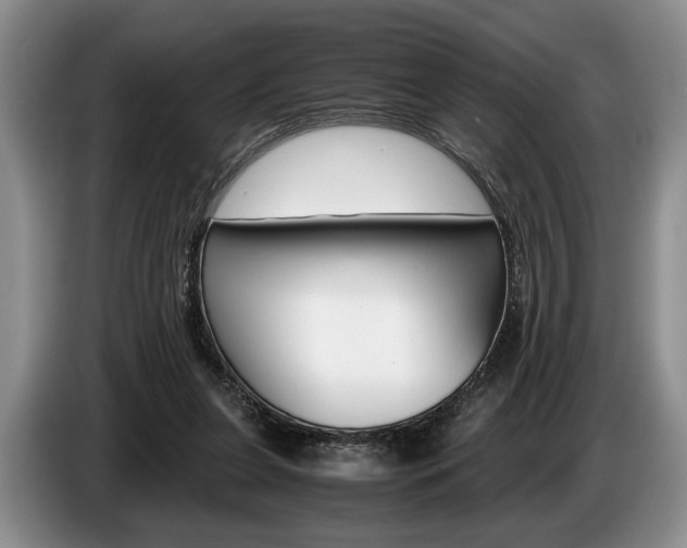 X0000087560255200704270931