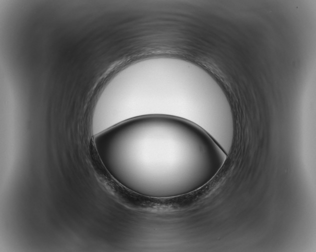 X0000087560256200704270931