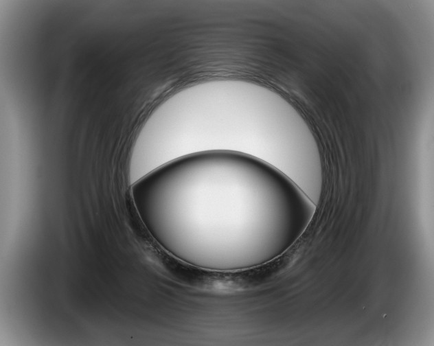 X0000087560264200704270931