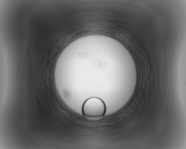 X0000087560268200704270931