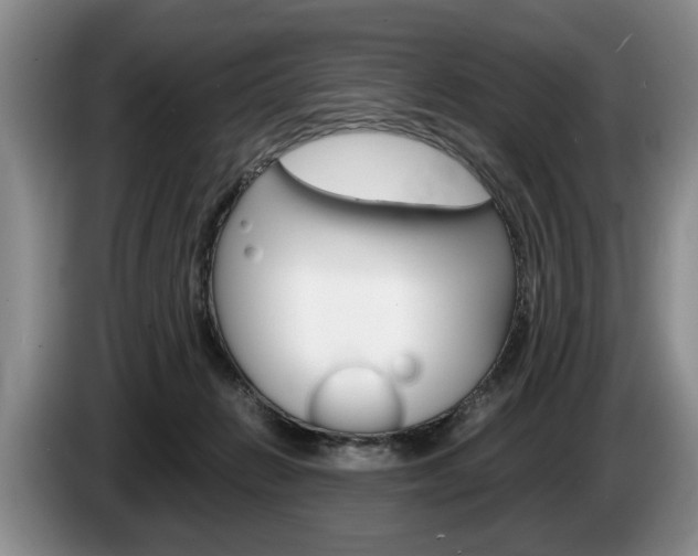 X0000087560270200704270931