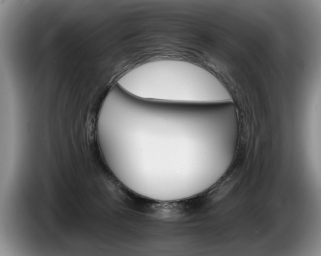 X0000087560273200704270931