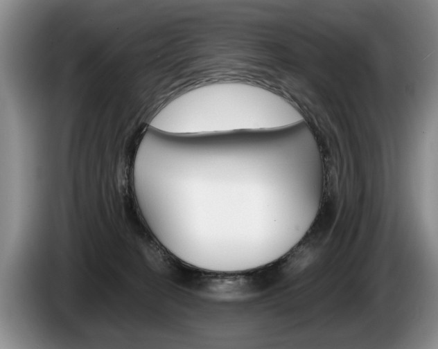 X0000087560274200704270931