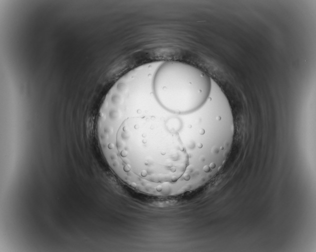 X0000087560278200704270931