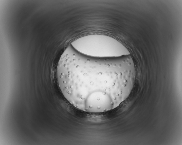 X0000087560282200704270931